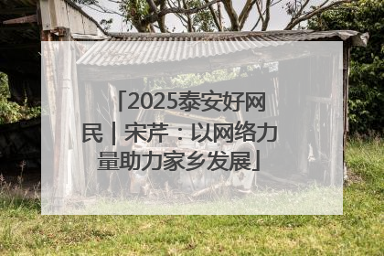 2025泰安好网民｜宋芹：以网络力量助力家乡发展