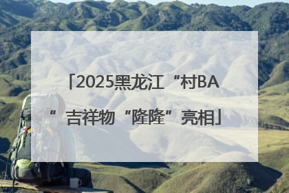 2025黑龙江“村BA”吉祥物“隆隆”亮相