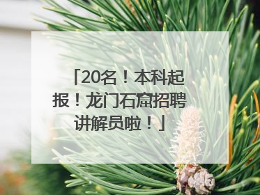 20名！本科起报！龙门石窟招聘讲解员啦！