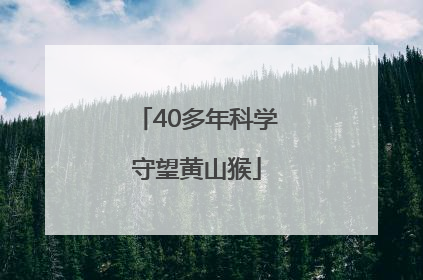 40多年科学守望黄山猴