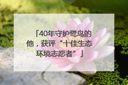 40年守护鹭鸟的他，获评“十佳生态环境志愿者”