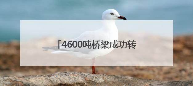 4600吨桥梁成功转体！阜淮铁路首个涉铁工程施工取得重要进展