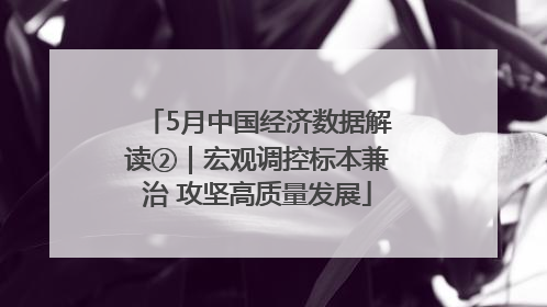 5月中国经济数据解读②｜宏观调控标本兼治 攻坚高质量发展