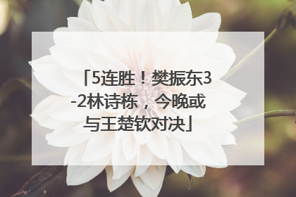 5连胜！樊振东3-2林诗栋，今晚或与王楚钦对决