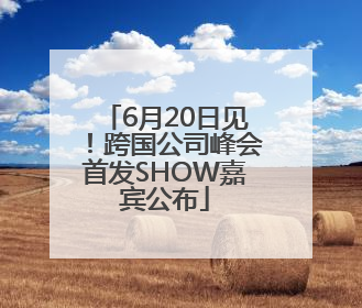 6月20日见！跨国公司峰会首发SHOW嘉宾公布