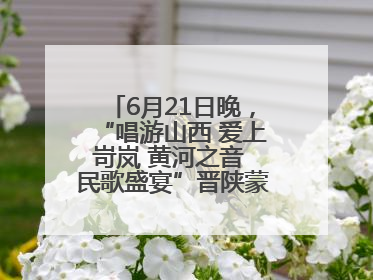 6月21日晚，“唱游山西 爱上岢岚 黄河之音 民歌盛宴”晋陕蒙民歌汇在国家AAA级景区——岢岚宋长城精彩上演