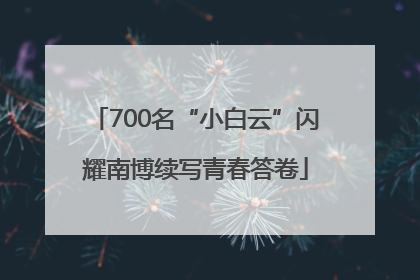 700名“小白云”闪耀南博续写青春答卷