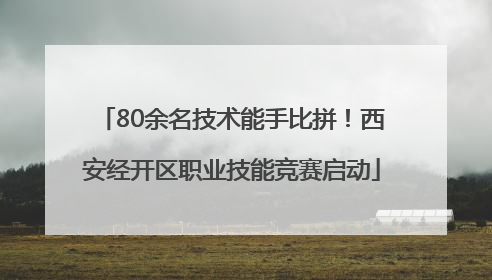 80余名技术能手比拼！西安经开区职业技能竞赛启动