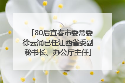80后宜春市委常委徐云涌已任江西省委副秘书长、办公厅主任