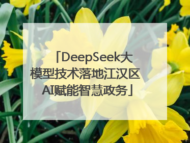 DeepSeek大模型技术落地江汉区 AI赋能智慧政务